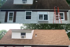 Black-algae-removal-soft-washing