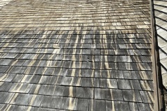 CEDAR