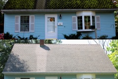 Moss-removal-soft-washing